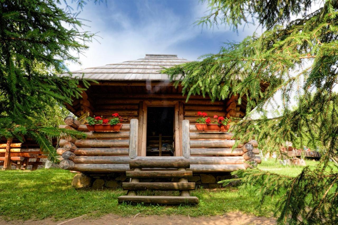 Pensiunea Agroturistica Poiana Poiana Negrii Exterior photo