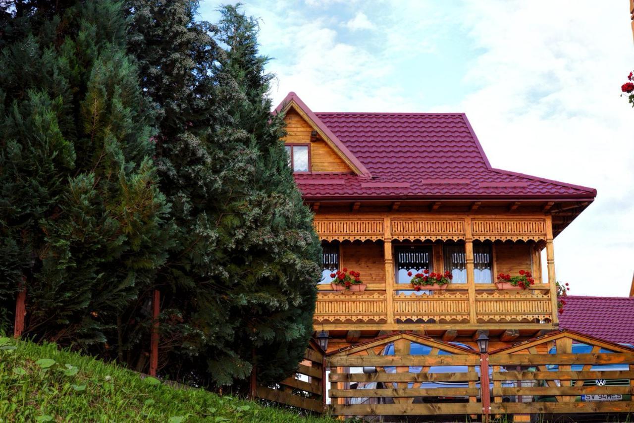 Pensiunea Agroturistica Poiana Poiana Negrii Exterior photo